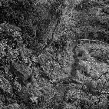 Naturweg auf der Insel Stromboli