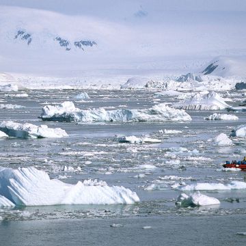 Eisschollen im Polarmeer