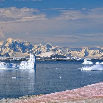Eisberge im Polarmeer