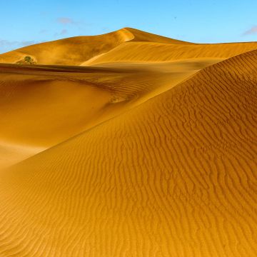 Sanddünenformation in goldgelber Farbe