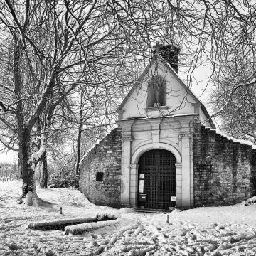 frischer Schnee und Raureif im Wingert