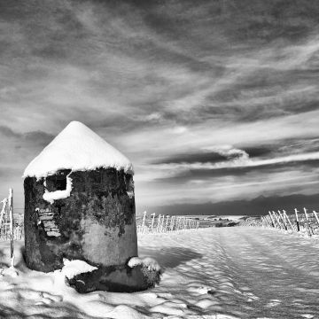 frischer Schnee und Raureif im Wingert