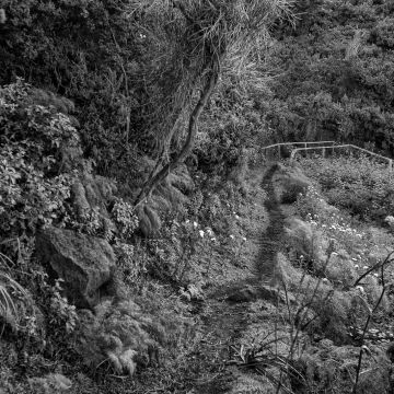 Naturweg auf der Insel Stromboli