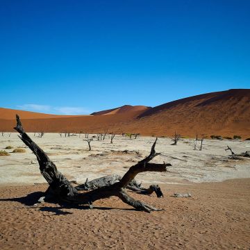 Deadvlei mit verkohlten Bäumen verbrannter Erde