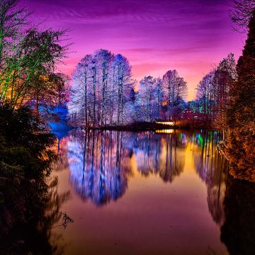 Farbenfrohe Illumination im Luisenpark Mannheim