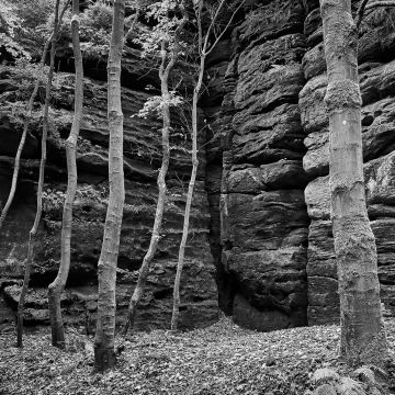 Wanderung durch die Felsschluchten in der Nähe der Bastei