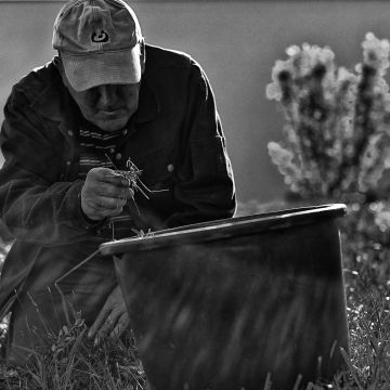 Gartenpflege im Gartenbau und der Landschaftspflege